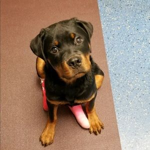 Meet your Posher, Christine